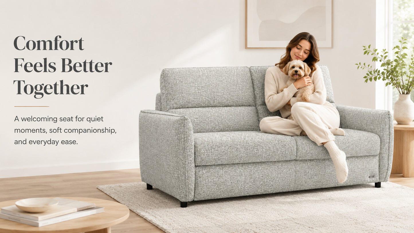 Pull Out Sofa Bed, 2-in-1 Convertible Double Bed, No Cushion Removal, Memory Foam, Queen Size, for Apartment