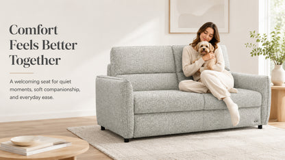 Pull Out Sofa Bed, 2-in-1 Convertible Double Bed, No Cushion Removal, Memory Foam, Queen Size, for Apartment